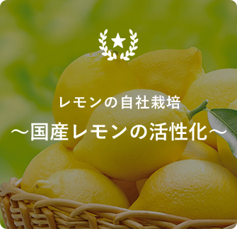 レモンの自社栽培～国産レモンの活性化～