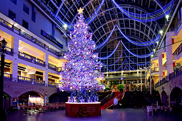 Reuse of Sapporo's winter tradition Jumbo Christmas Tree