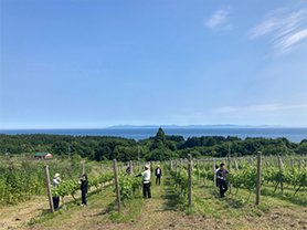 Creating a Harmonious Society and Building Ties with Local Community through Grape Cultivation
