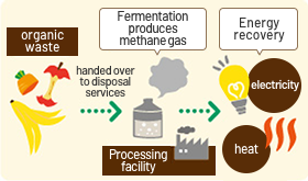 Food Recycle Loop