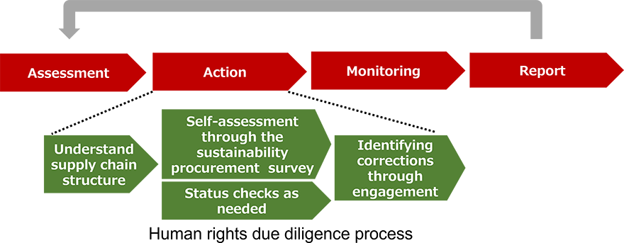 Human rights due diligence process