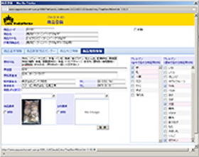 A screengrab of the “Net-SAM” system
