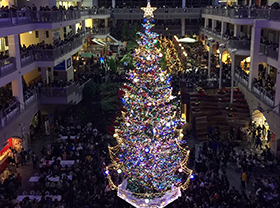 Lighting ceremony of the Christmas tree donated by Hiroo Town