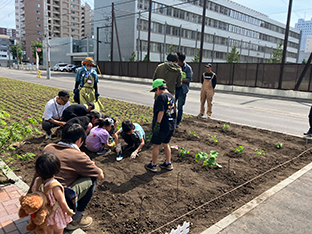 Regional communication / My Little Garden