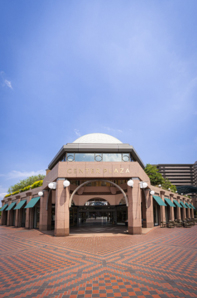Sapporo Real Estate Development