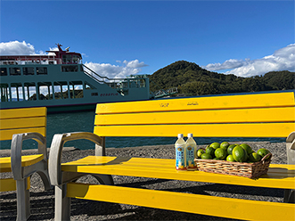 Donations from 2023 to 2025