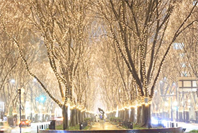 Support for the Sendai Pageant of Starlight, one of the symbols of winter in Sendai