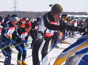 Support in promoting the winter sport “cross country skiing”