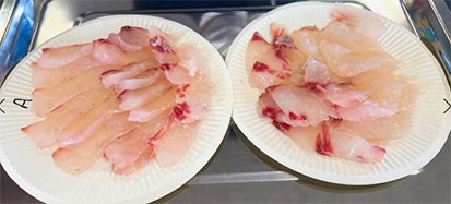 Support for the development of aquaculture feed for red sea bream that takes marine conservation into consideration