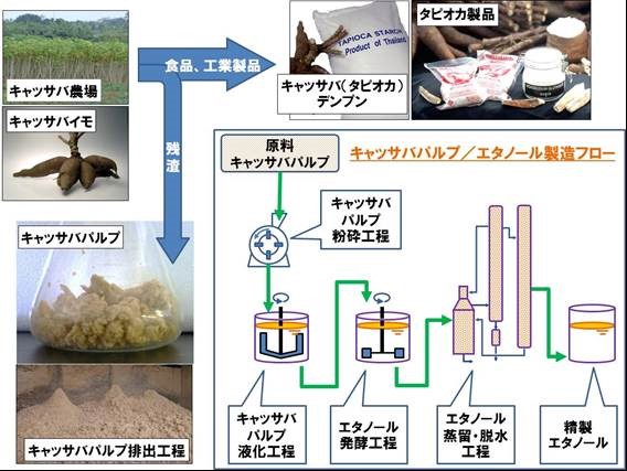 キャッサバパルプからのエタノール製造工程