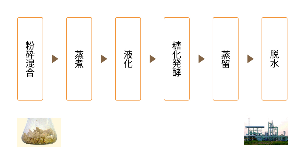 酒類製造技術からの応用