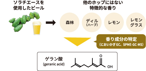 ソラチエースは、他の香りを引き立てる