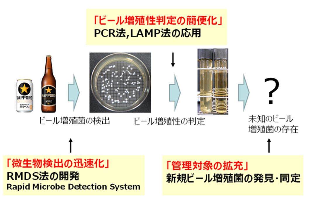 安全・安心で、おいしい生ビールのための微生物管理