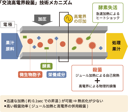 交流高電界殺菌とは