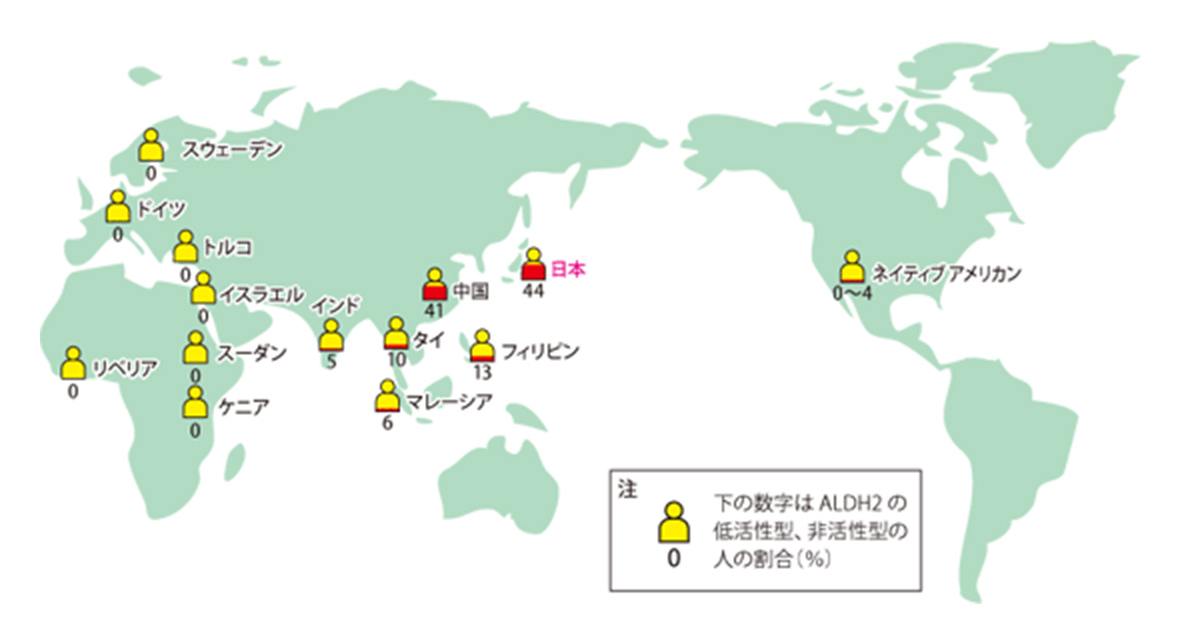 ALDH2 の低活性型、非活性型の人の割合