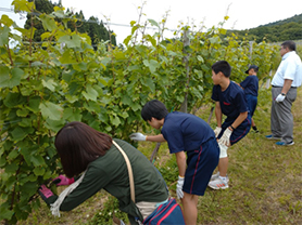 ぶどう栽培を通じた共生社会、地域の絆づくり