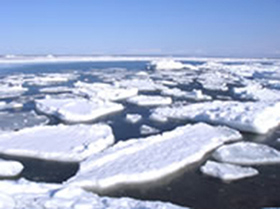 2009年の寄付「オホーツク流氷トラスト運動」