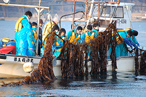 2018年・2019年の寄付「大船渡市の花”椿”をテーマとした学習支援」「小中一貫教育の柱として行われる”ふるさと科”学習支援」「国内外の高校生による『福島の食の安全性』発信事業支援