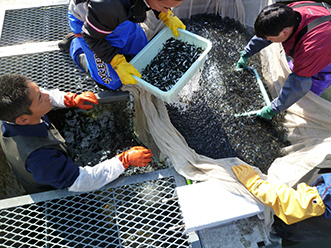 2022年の寄付 「北海道の水産資源回復事業」を支援